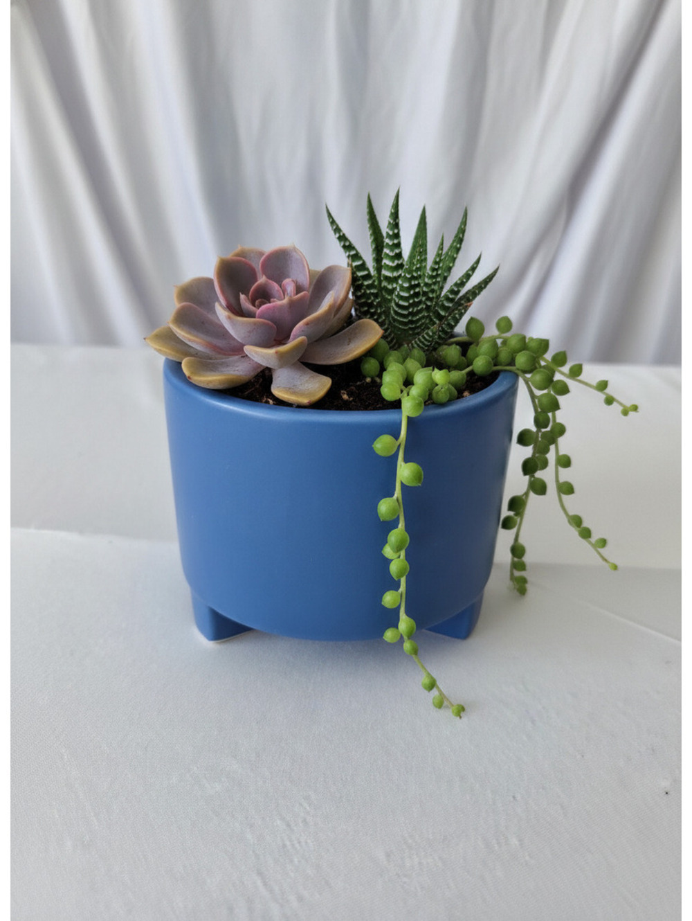 Modern Blue Ceramic Plant Pot with Divider and Feet